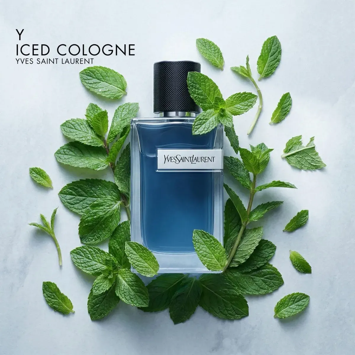 YSL Y Iced Cologne