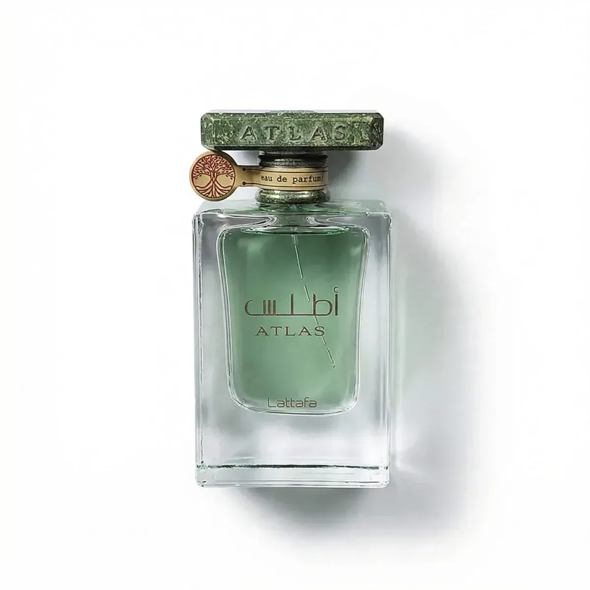 10ML